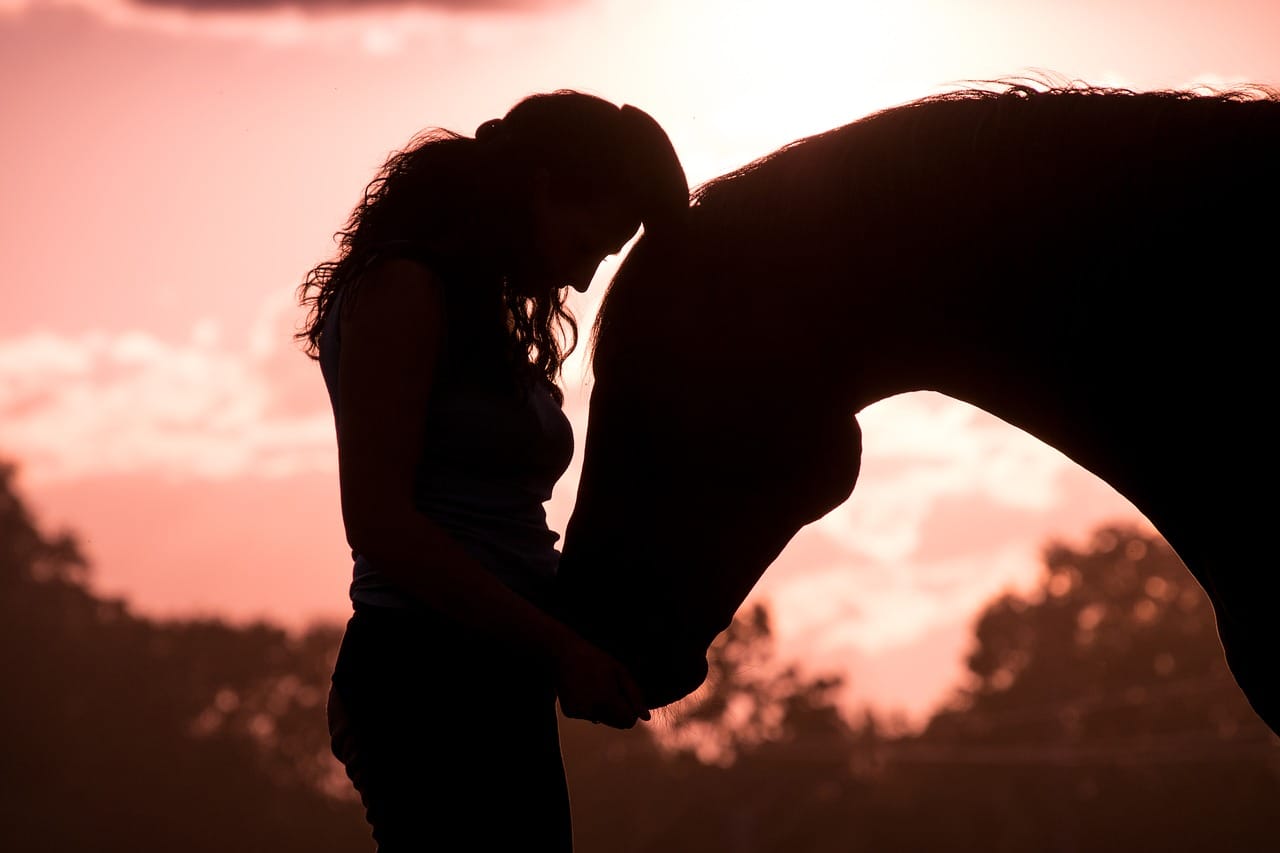 equitation cheval_pixabay